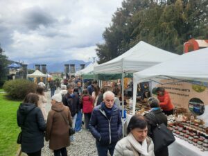 20260315 114520 20260315 114520