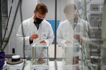 Carcinoma polmonare ok Ema a lurbinectedina e immunoterapia in prima linea Carcinoma polmonare ok Ema a lurbinectedina e immunoterapia in prima linea