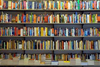 Da Lappuntamento di Pulixi a Dottie del Nobel Gurnah le novita in libreria Da Lappuntamento di Pulixi a Dottie del Nobel Gurnah le novita in libreria