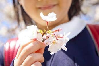 E il primo giorno di primavera ecco perche lequinozio cade oggi 20 marzo