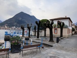 Sulzano, Porto Vecchio tigli capitozzati, la denuncia di Legambiente