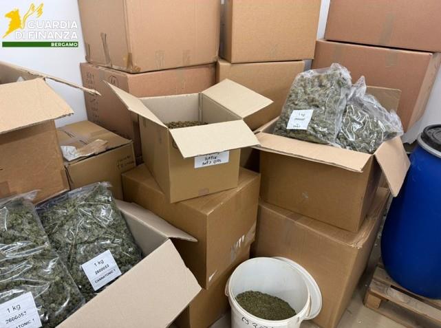 Traffico internazionale di droga maxi sequestro della Guardia di Finanza, sei arresti tra Bergamo e Varese
