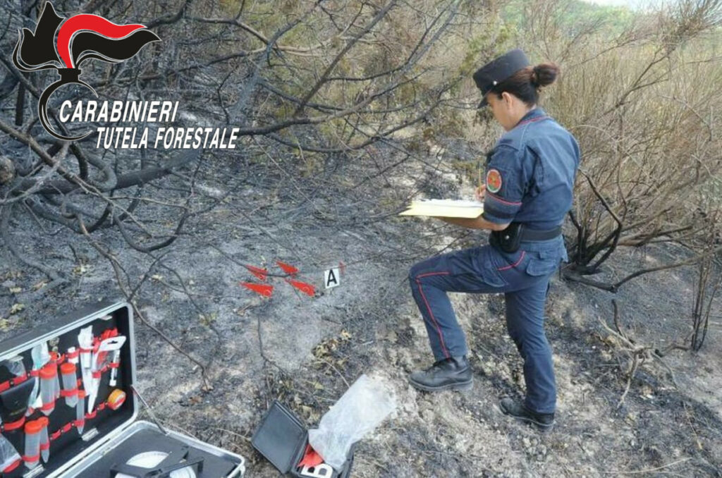 Alto rischio incendi boschivi scattano controlli e sanzioni nelle Prealpi bergamasche