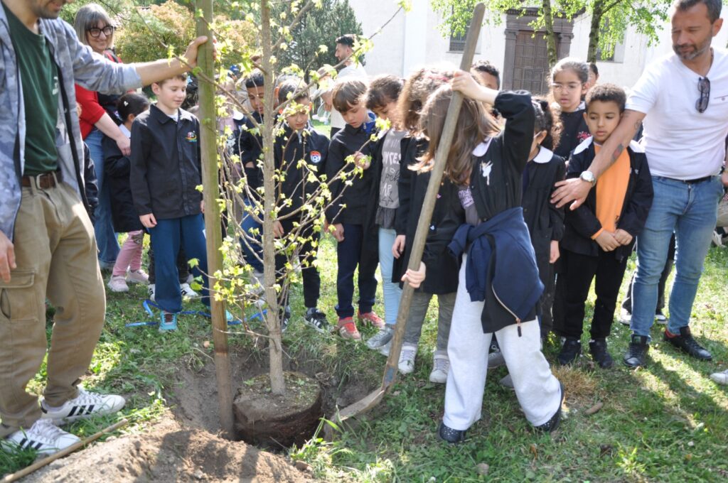 Breno, Giornata degli Alberi piantato un liquidambar per i 20 nati del 2025