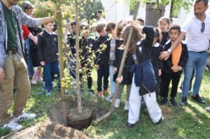 Breno, Giornata degli Alberi piantato un liquidambar per i 20 nati del 2025