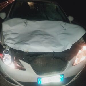 FB IMG 1776802421158