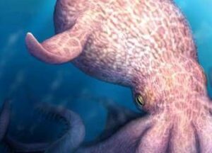 Il Kraken e esistito e dominava gli oceani la scoperta sul mostro dei mari