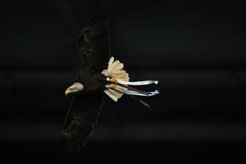 Lazio Flaminia vola ma. sbaglia strada atterraggio in Monte Mario