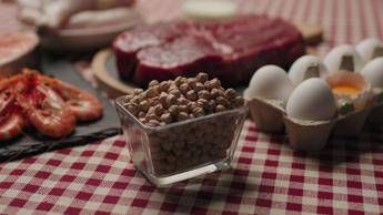 Quando gli alimenti uccidono ecco la top 5 dei cibi piu letali