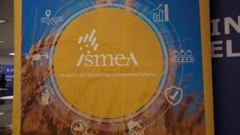 Vinitaly vino italiano leader focus su mercati esteri e nuovo bando OCM Promozione