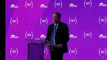 Vino Bricolo Veronafiere Asset a sostegno dellexport a fianco delle aziende Vino Bricolo Veronafiere Asset a sostegno dellexport a fianco delle aziende