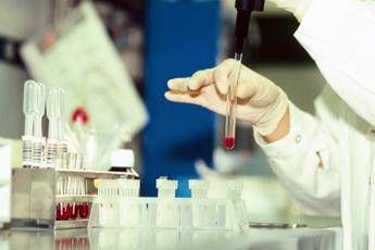 Antrace vaiolo e virus zombie lindagine sui rischi nascosti nel ghiaccio da migliaia di anni Antrace vaiolo e virus zombie lindagine sui rischi nascosti nel ghiaccio da migliaia di anni