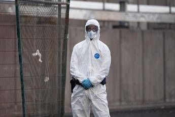 Hantavirus lesperta Piu letale ma diverso da Covid non si rischia nuova pandemia Hantavirus lesperta Piu letale ma diverso da Covid non si rischia nuova pandemia