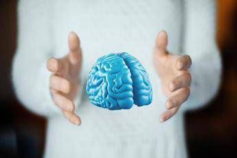 Imparare ad essere altruisti cosi il cervello costruisce i comportamenti sociali