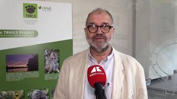 Sostenibilita Rival Cirad Con Trails integrazione tra foreste e palma da olio
