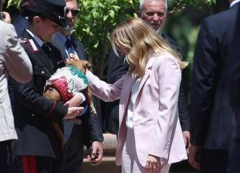 Italia Corea Meloni si fa foto con Briciola cagnolina mascotte Carabinieri star a Villa Pamphlij