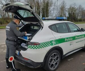Possibile orso a Gardone Val Trompia due avvistamenti tra Valle di Gardone e Caregno