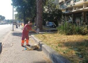 Roma ripulite le aiuole nel degrado intorno alla Nuvola lintervento dopo la denuncia dellAdnkronos