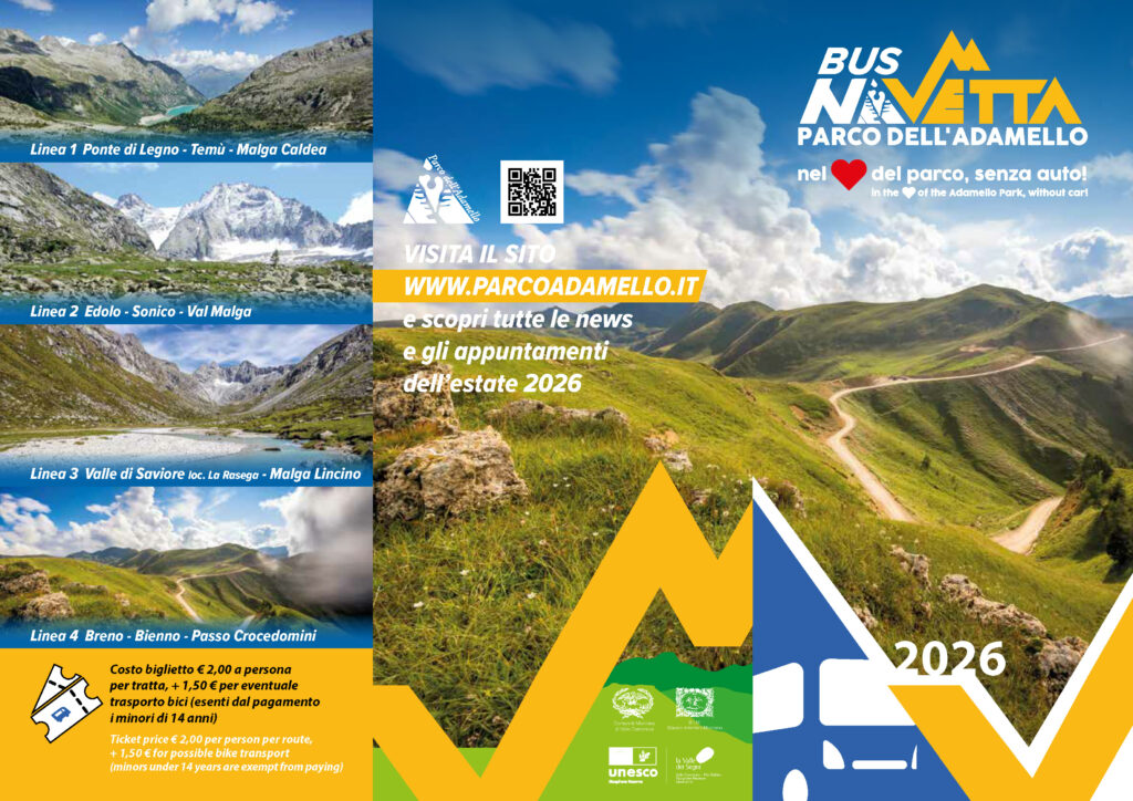 Bus NaVetta 2026 nel Parco dell'Adamello dal 25 luglio tornano le navette per la montagna senza auto