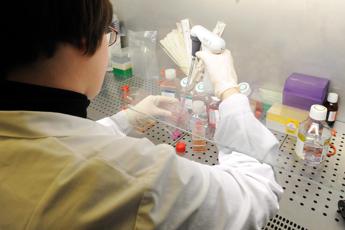 Medicina di laboratorio al top in Italia Sibioc Nostri esperti riconosciuti tra eccellenze internazionali