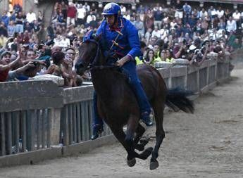 Palio Siena notte tranquilla in ospedale per Tittia condizioni in miglioramento Palio Siena notte tranquilla in ospedale per Tittia condizioni in miglioramento