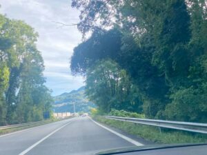 SS671 in Val Seriana, albero inclinato verso la carreggiata alla Baia del Re scatta la segnalazione