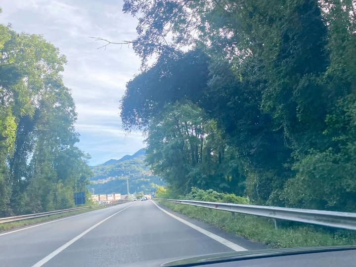 SS671 in Val Seriana, albero inclinato verso la carreggiata alla Baia del Re scatta la segnalazione