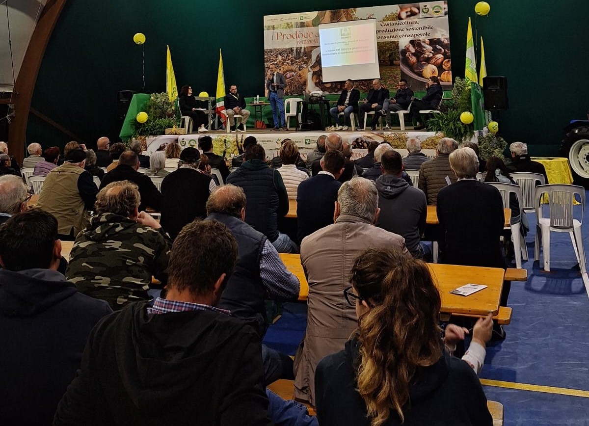 Berzo convegno 4 Berzo convegno 4