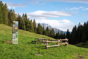 Val Gandino bosco