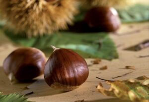 Dal 3 all'11 ottobre torna la Sagra della Castagna ad Averara