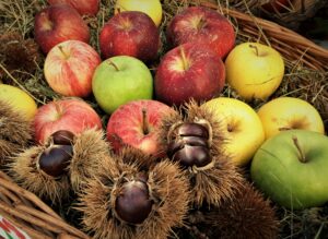 Mele castagne Valnegra