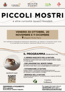 piccoli mostri locandina piccoli mostri locandina